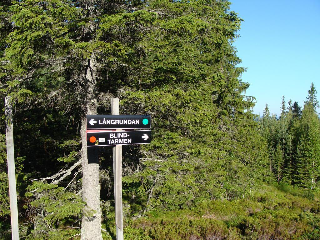 Tomtelandstugan ムーラ エクステリア 写真